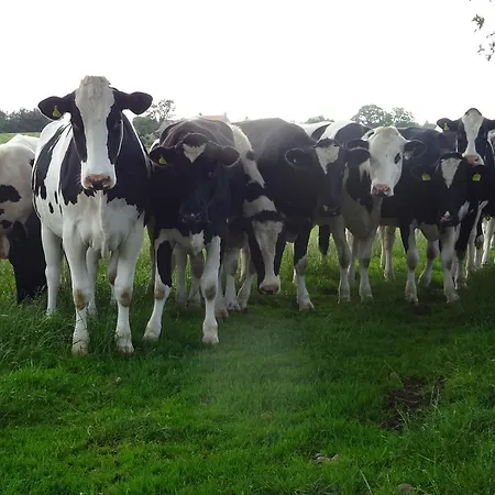 Chequers 3* Harrogate