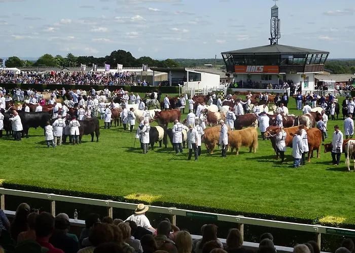 Chequers Харрогейт