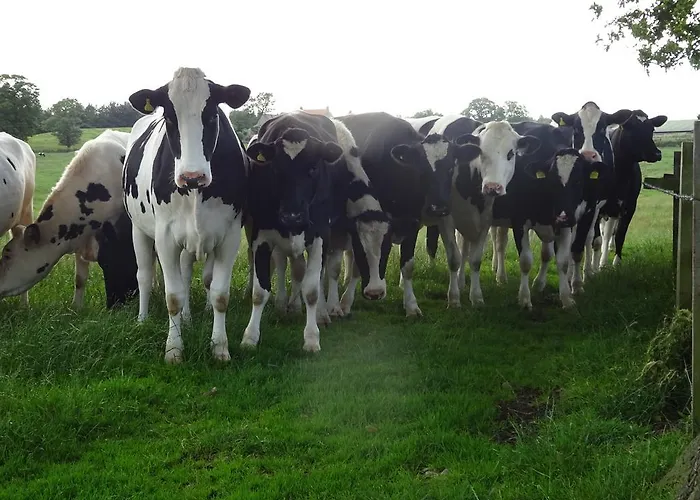 Chequers 3* Harrogate